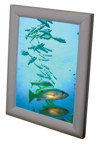 beleuchteter Diarahmen Reflecta Deluxe (Leuchtdisplays)