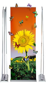 Details zu Roll UP "Professionell  Double" inkl. Bannerdruck
